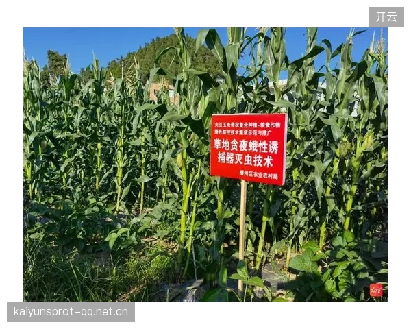 草皮农业技术推广降低维护成本提升赛事质量